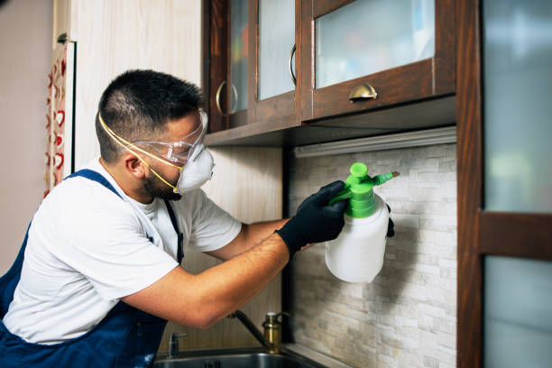 Best Pest Inspection Near Me  in New Haven, IN