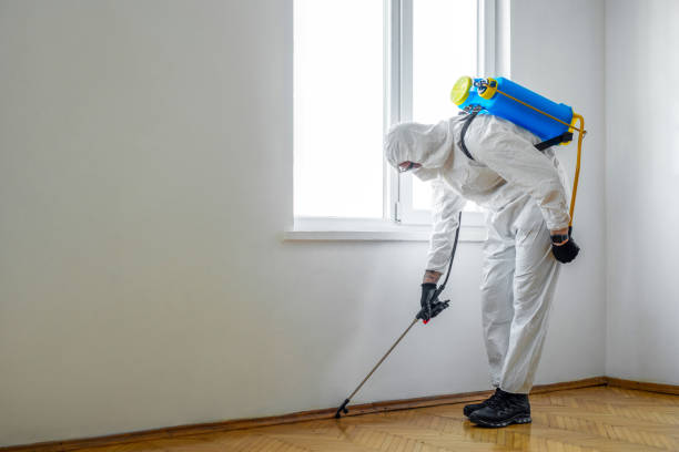 Best Best Pest Control Companies  in New Haven, IN
