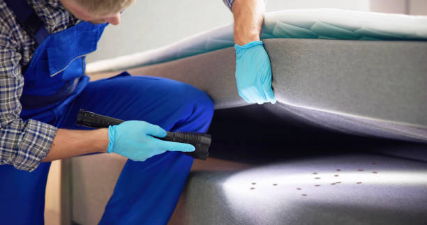 Best Flea Control Services  in New Haven, IN