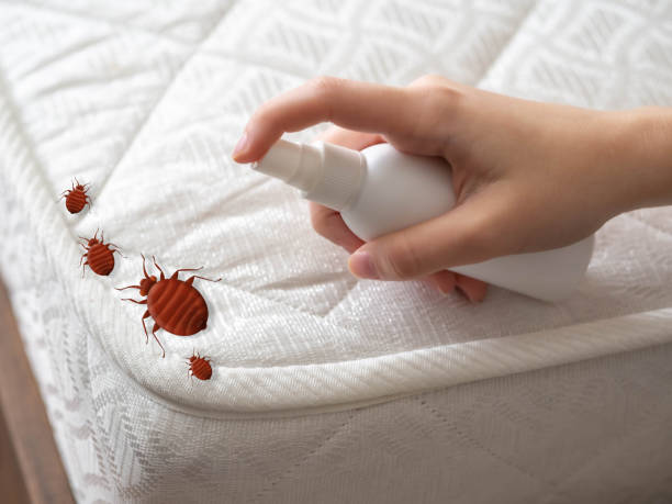 Best Bed Bug Extermination  in New Haven, IN