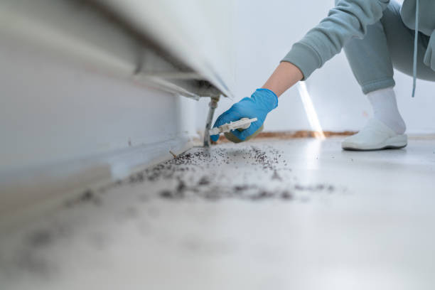Best Mosquito Control Services  in New Haven, IN