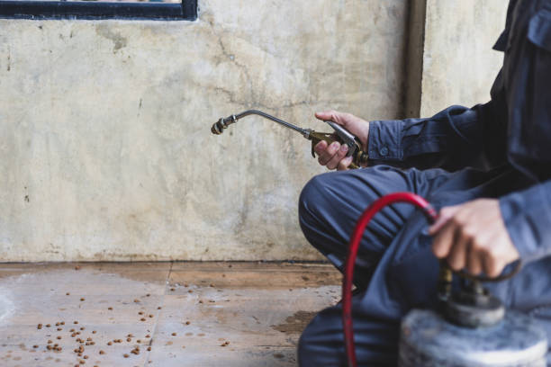 Best Exterminator Services  in New Haven, IN